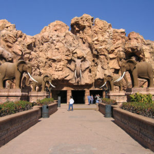 South Africa Early bird