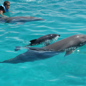 Easter in Zanzibar 2025