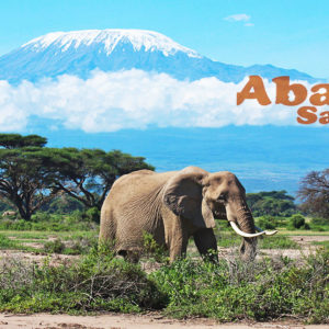Experience Amboseli