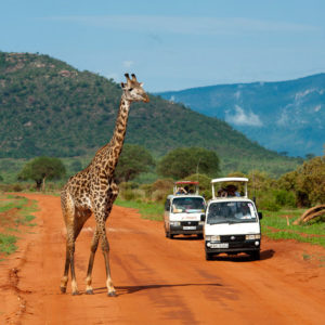 Easter in Tsavo west National Park 2020